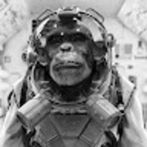 Meet your Posher, Tony